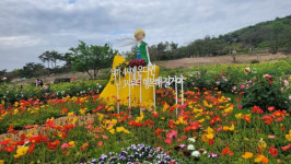 주말 봄꽃과 함께 떠나는 시간여행... 2023 화순고인돌축제 인기