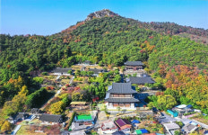 무안군, 제20회 초의선사 탄생문화제 개최