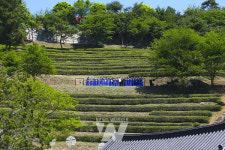 전국 최대 규모 차 축제 보성다향대축제 아듀