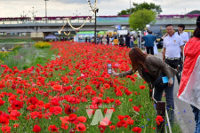 장성 황룡강 洪(홍)길동무 꽃길축제... 대표 봄 축제 명성 재확인!