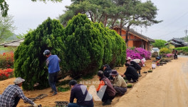 나주 산포면, 화지마을 청정전남 으뜸마을 만들기 구슬땀