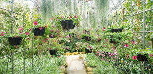 완도수목원 아열대 온실서 이국적 정취 느껴보세요