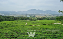 덕진면 선암마을과 송내외마을 전라남도 유기농 생태마을로 신규 지정 등