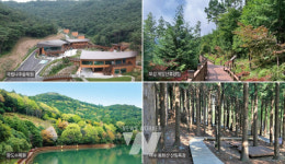 전남도, 싱그러운 녹음 가득 전남 숲에서 숲캉스 즐기세요