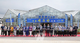 신안군, 여름새우란(蘭) 전시회... 1004뮤지엄파크에서 개최