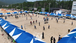 완도군, 해양스포츠의 꽃 제20회 장보고배 비치발리볼 대회 성료