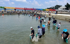 함평군, 돌머리해수욕장 뱀장어 잡기 체험 행사 성황