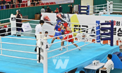 고흥군, 대통령배 전국 시·도 복싱대회 개막 열전 돌입