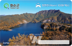 화순군, 맘(Mom) 편한 100원 택시 카드 결제 시스템 도입