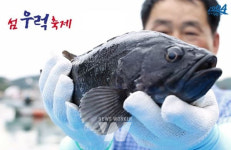 제1회 섬 우럭축제, 신안군 압해도에서 개최