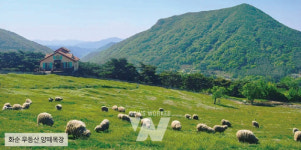 국내에서 유일한 전남 인기명소로 여행오세요