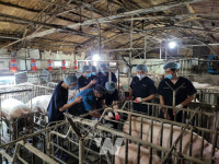 함평군, 강소농 청년농업인 양돈현장실습교육 실시