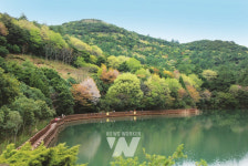 완도수목원, 추석 연휴 무료 개방