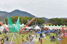 캠핑 감성 장성 황룡강 가을꽃축제, 역대 최고 인기 예감!