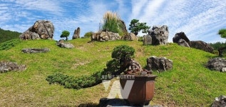 신안군, 1004섬 분재정원 송백분재 특별전 성료