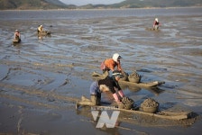 꼬막의 계절이 돌아왔다! 벌교꼬막 따라 떠나는 가을여행
