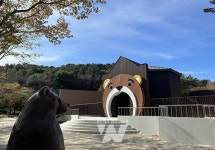 광주 우치동물원, 새단장 곰사에 반달가슴곰 보러 오세요