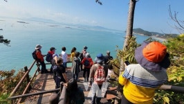 청정 완도 가을 섬 여행... 4만 명 다녀가며 성료