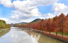 [포토] 늦가을 정취 가득한 담양 관방제림