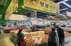 보성군, 명품 보성키위 하나로마트 날개 달고 전국으로 비상