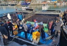 청정바다서 자라 품질 좋은 완도 물김 위판 한창