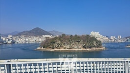 여수시, 장군도 섬 숲 백화현상 피해대응 나서