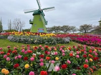 순천만국가정원, 깜짝 놀랄 봄 옷 입는다