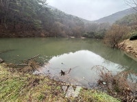 광주시, 저수지 4곳 안전관리 실태점검