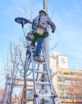 광주 서구, 안전 보행등 179개 추가 설치