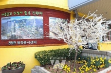 장성군 진원면 모든 슬픔 사라지는 미선나무 꽃 활짝