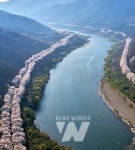 전남도, 섬진강벚꽃길·불갑사·관매도·함평천지길 등 관광지 추천