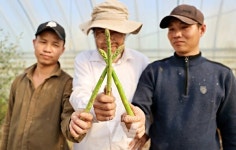 해남군, 봄의 맛은아삭봄 기운은쑤욱