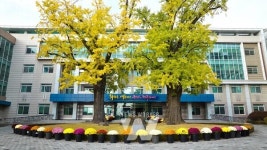 화순군청 배드민턴부, 전국 종별배드민턴대회 입상