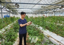 강진군 장미농장, 스마트팜 기술로 무장한다