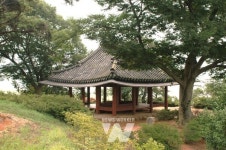 광주시, 영산강Y벨트에 걷고싶은 역사문화유산길 조성