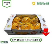 한국농수산식품유통공사, 농산물 온라인도매시장 제5호 특화상품 출시!