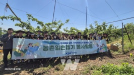 전력거래소, 반디봉사단 농번기 맞이  배 열매솎기 일손돕기 참여