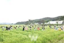 영광군, 제10회 영광찰보리 어울마당 성황리에 마쳐