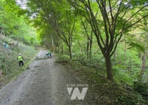 영광군, 물무산 행복숲 둘레길 숲가꾸기 사업 추진