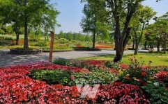 순천만국가정원, 여름꽃들이 춤추는 화려한 파티!