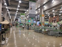 [불황에 유통이 뜬다 ②] 트레이더스 홀세일 클럽, 영업이익 지난해 동기 대비 최고점 찍어