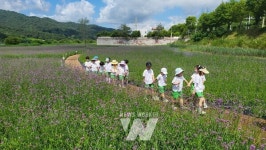 광주 광산구, 황룡강생태정원 시민이 심은 버들마편초 개화