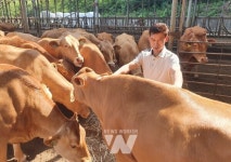 보증씨수소 선발대회서 전남 한우 전국 1위