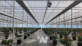 신안군, 경영실습 임대농장 청년 농업인 모집