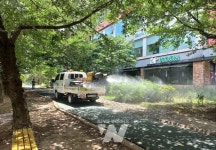 광주 서구, 여름철 특별방역 총력