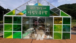 광주 동구, 10일 도시농업 복합단지 다정한 동구밭 개장