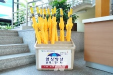 목포시, 폭염 대책 철저 시행 및 대처요령 안내