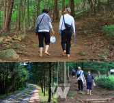 화순군, 피톤치드 가득한 숲길 맨발산책로 인기