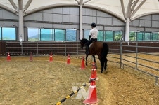 영광승마장, 다양한 승마체험 프로그램 운영