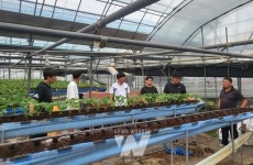 고흥군, 청년 농업인 영농정착위한 현장지원단 운영